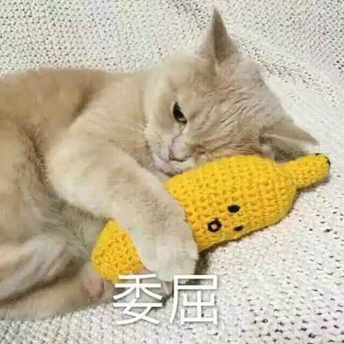 有一点点想你#表情包