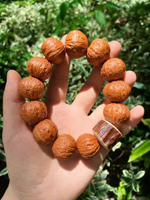 原皮鹿角墩子和核桃很好搭哦