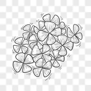 手绘幸运四叶草简笔画图片