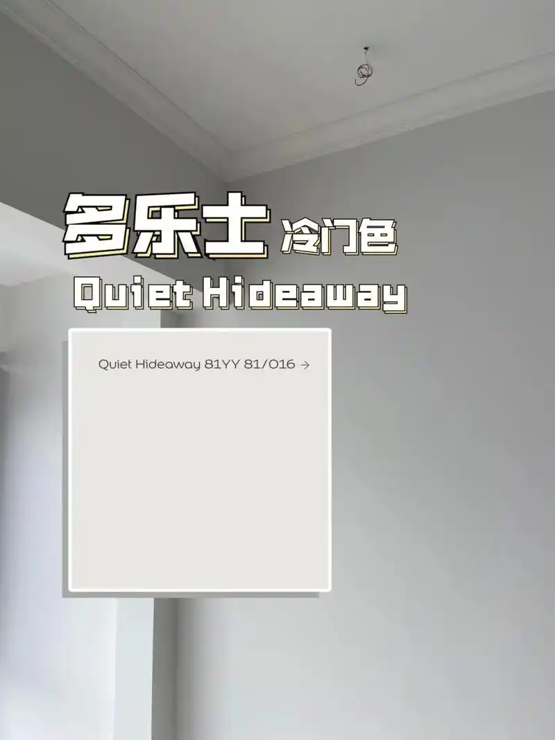 多乐士客厅冷门色浅浅灰