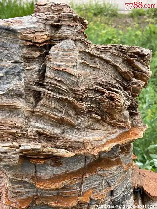 玉化石,自然风化,-价格:2850元-se81396370-其他奇石/岩石-零售-7788