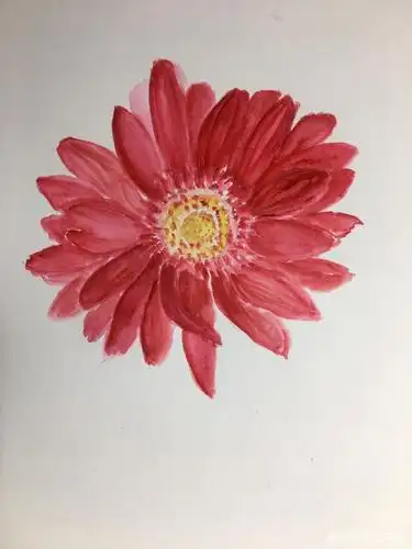 手绘一朵漂亮的非洲菊