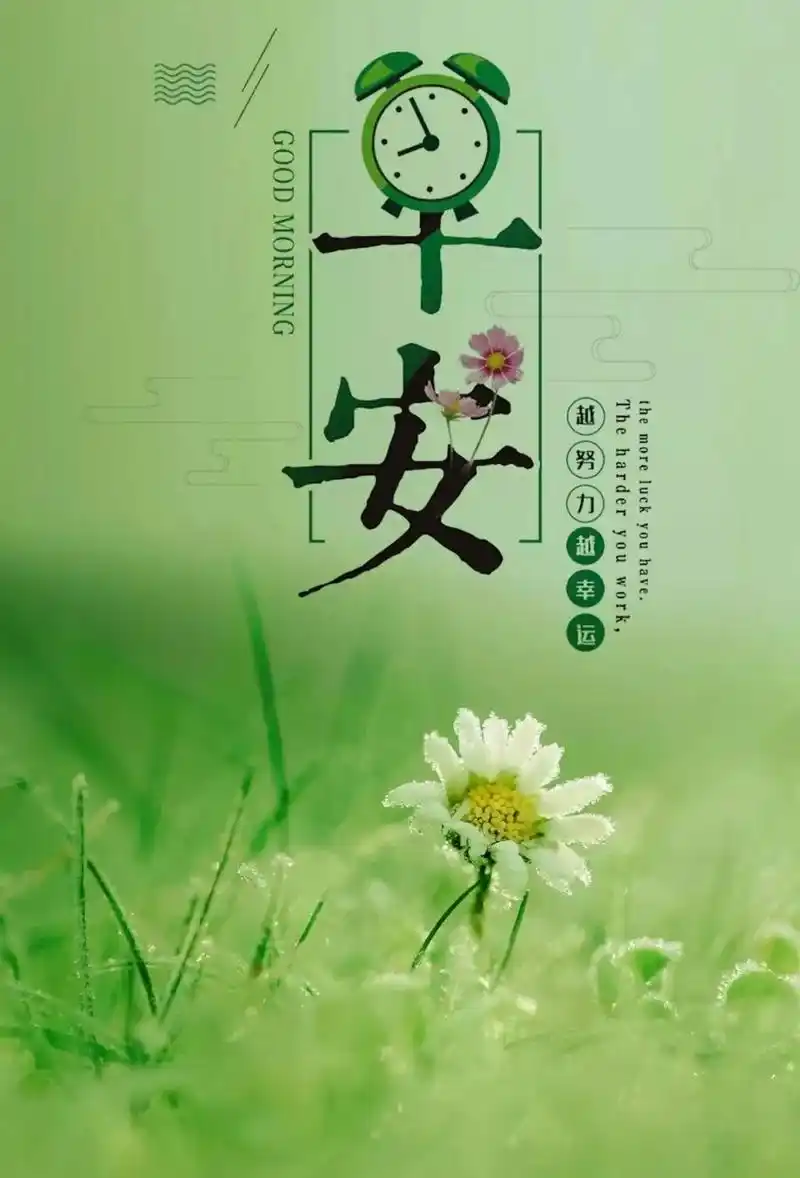 早安心语正能量很火语录 很赞的早上好图片带字