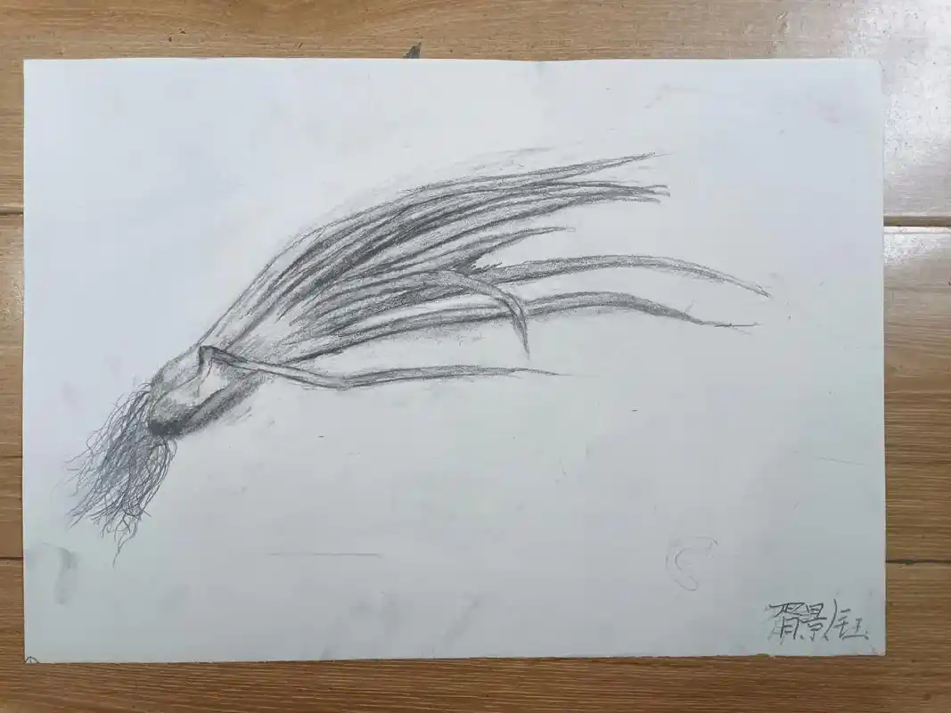 素描初级班画的小葱 - 抖音