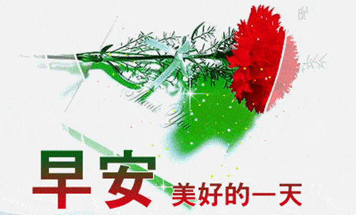 500_303gif 动态图 动图