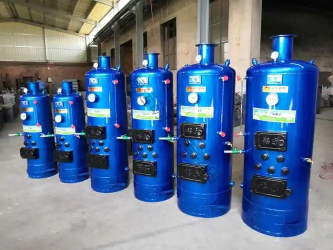 冬季燃煤蒸汽锅炉小型商用蒸气反烧水家用烧柴豆腐馒头食用菌酿酒龙之