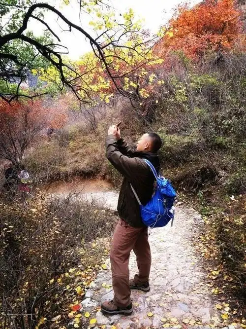 九九重阳登高望楚乡