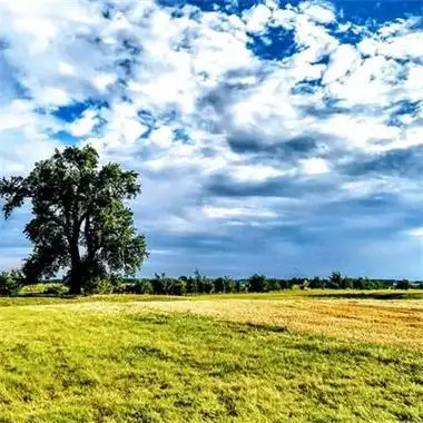 很阳光又很励志的耐看风景头像 积极向上风景头像(3)