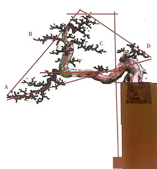 盆景设计比一比即可论高下,谁胜谁负靠"技艺"!