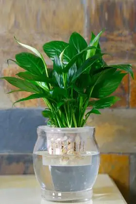 烘培原料套餐搭配图片_烘培原料套餐怎么搭配_烘培原料套餐如何搭配_