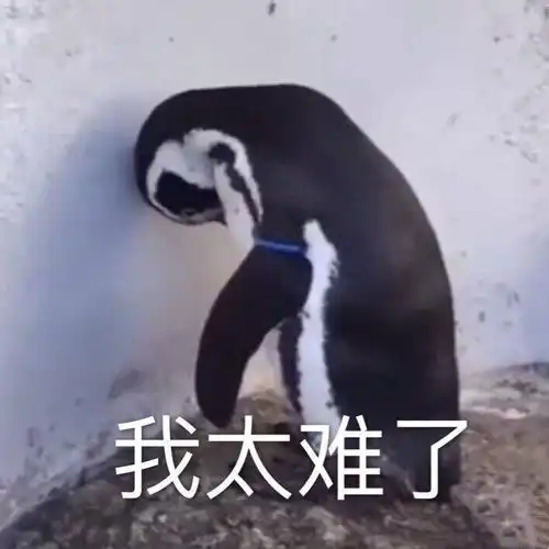 我太难了(企鹅撞墙)_撞墙_企鹅_太难表情