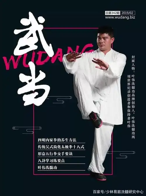 太极禅源洗髓功叶伟两项世界纪录的品牌故事