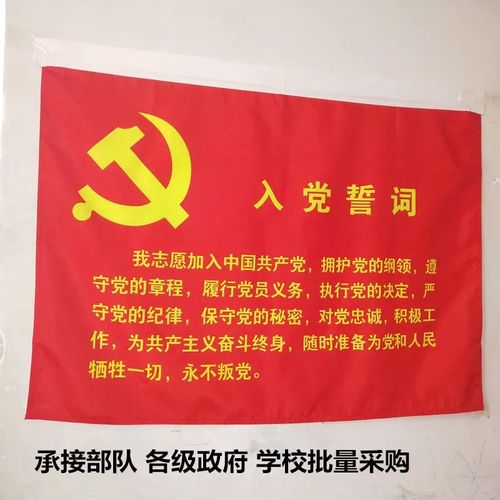 党旗入党誓词党旗定制旗