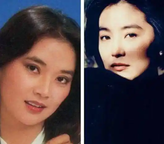 长得神似林青霞,拍戏烧伤险毁容,如今却美得像孙俪的姐姐_胡慧中_电影