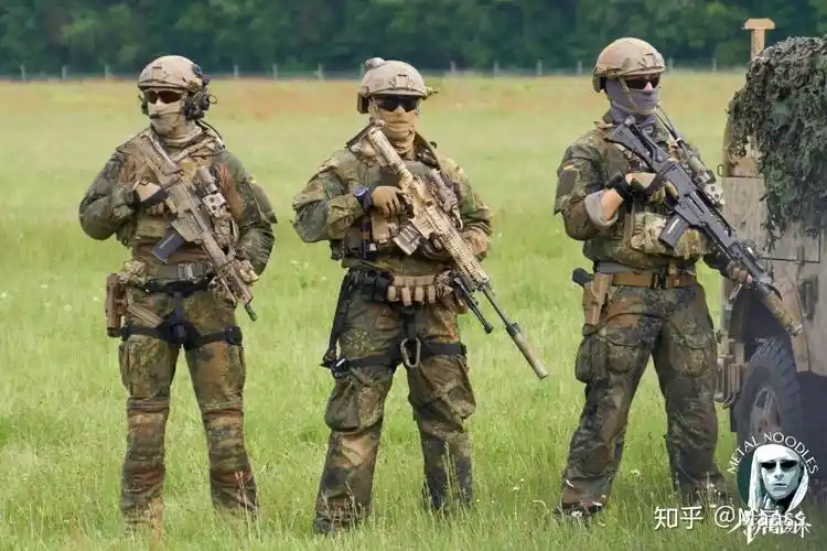 如何看德国国防军采购hk416a8未来全面列装hk416