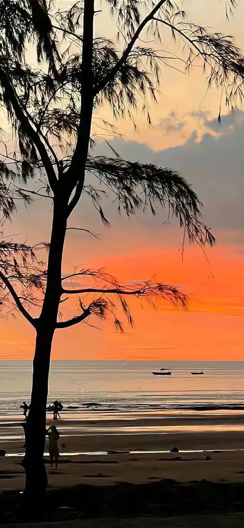 背景 壁纸 风景 天空 桌面 660_1428 竖版 竖屏 手机