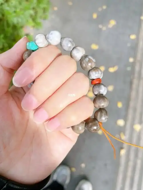 草珠子(逢生)野火烧不尽春风吹又生,兔子年就要到