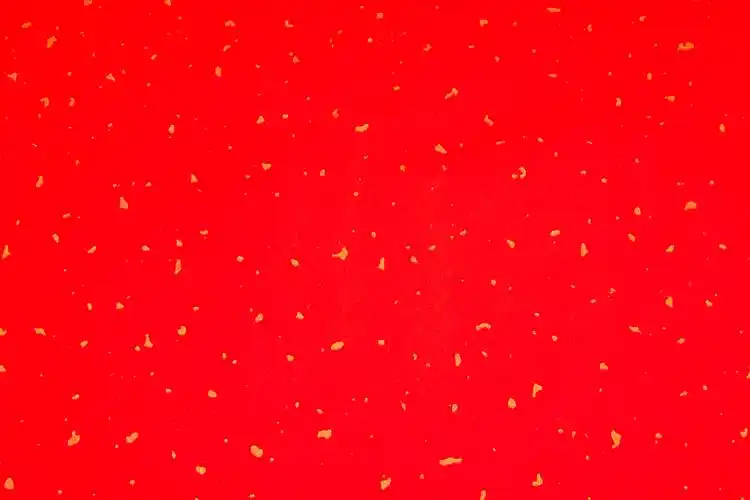 红底金箔纸春联纸对联纸新春春节