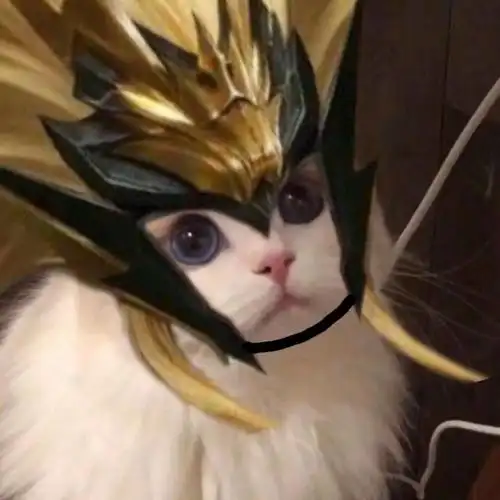 王者荣耀 芈月的头像