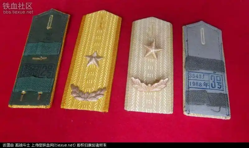 [原创]87肩章高仿造假大揭秘[一]