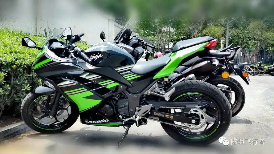 转让| 河南洛阳2016年大贸川崎小忍者