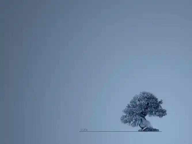 ppt背景图片(经典_简约类)_第2页