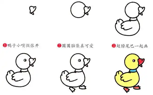 小鸭子简笔画视频可爱