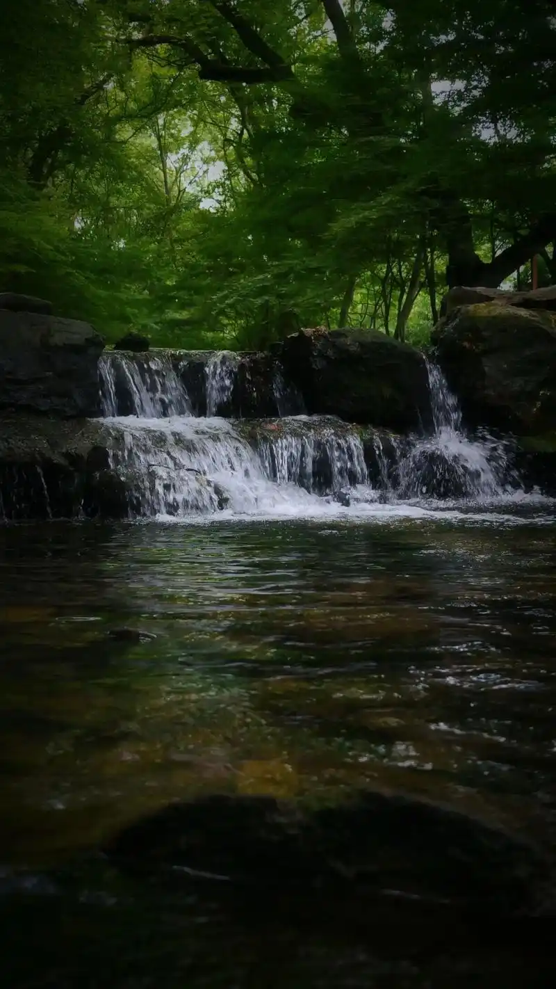 九溪十八涧|打卡杭州最美徒步路线
