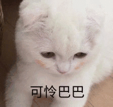 可怜巴巴_表情包_斗图图片