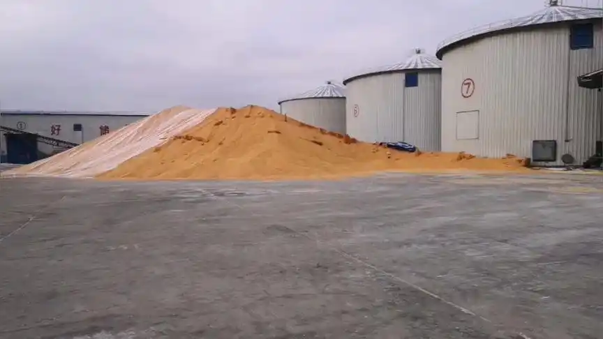 走进大国粮仓  带你看看储存玉米的粮仓长啥样