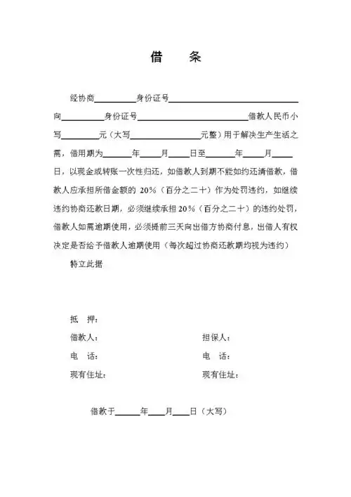 标准借条格式_强力文库.doc