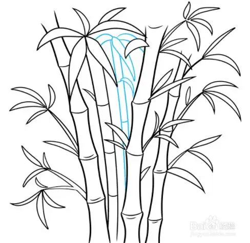 如何绘制竹子