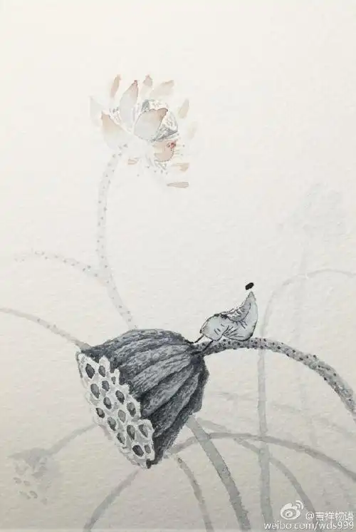 春来花自青,秋至叶飘零,一花一世界,一念一人生.