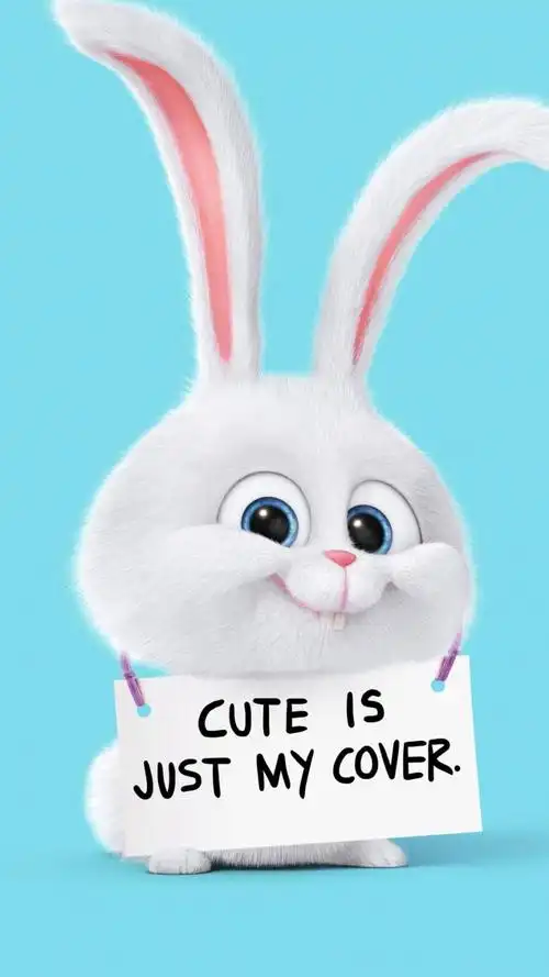 可爱只是我的封面