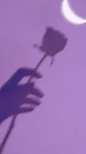 精选紫色系壁纸,梦幻紫,今年流行色