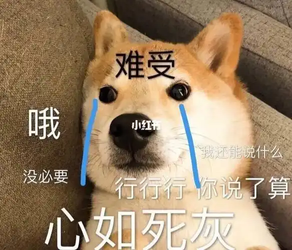 上辈子作孽,这辈子出闲鱼!