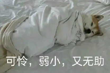 可怜,弱小,又无助_无助_弱小_可怜表情