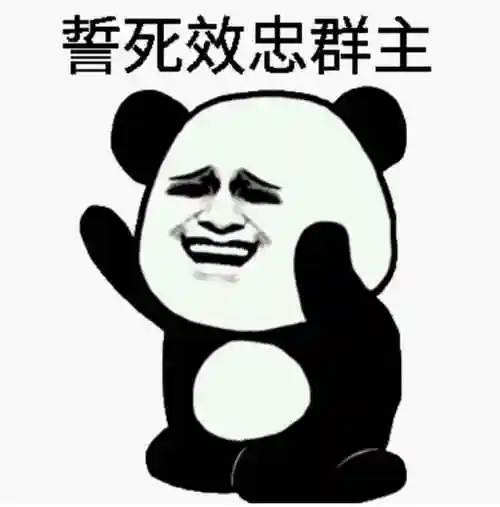 恭迎游卡团队新增队友