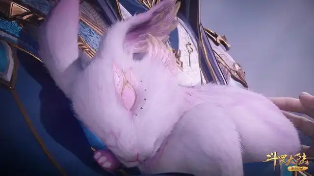 兔子爱吃萝卜,这是大家都知道的事,然而我们的小舞竟然对萝卜没有感觉