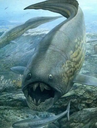 远古海洋霸主-邓氏鱼