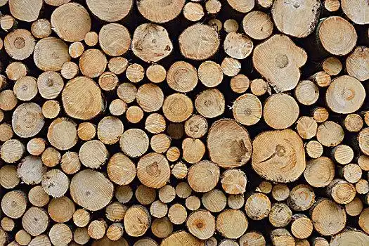 一堆,云杉,原木,施佩萨特,黑森州,德国,欧洲