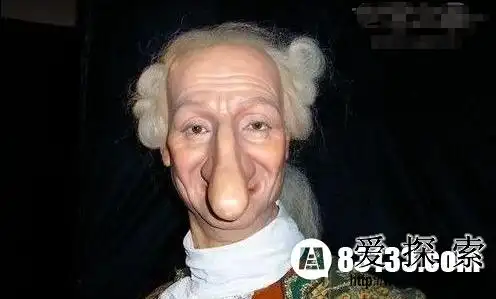 搞笑 世界上鼻子最大的人