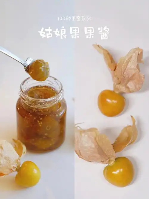 苹果果胶,这样熬制出来的果酱口感便丰盈可口了[气球r]原料:姑娘果