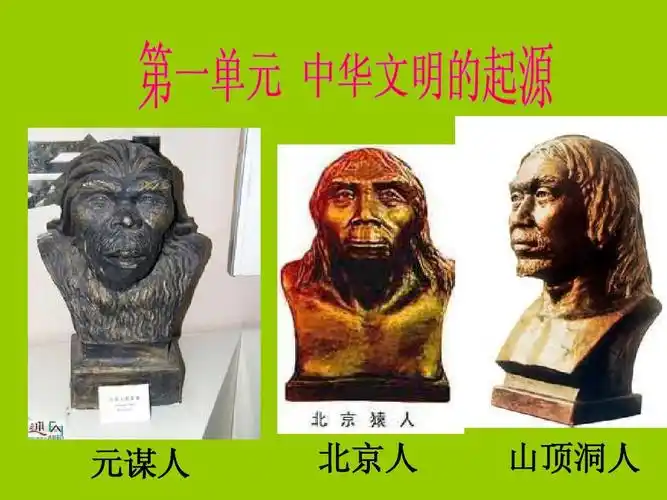 元谋人 北京人 山顶洞人