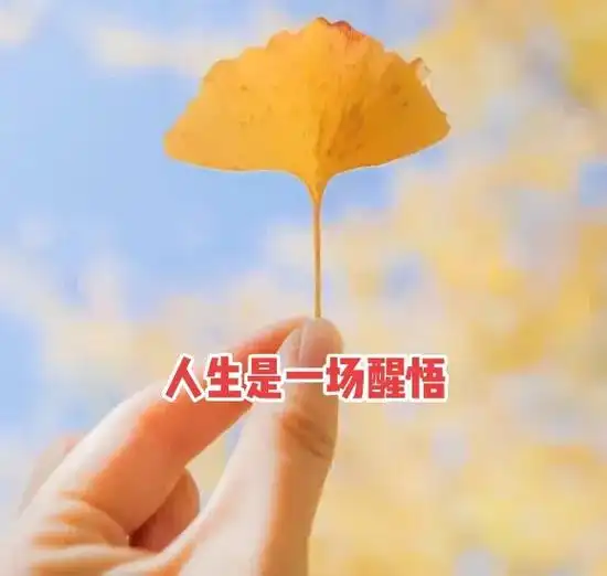 抖音图文来了 人生,是一场醒悟,许多事,要靠自己去想,才越 - 抖音