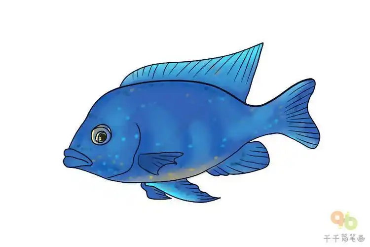 蓝色的鱼简笔画