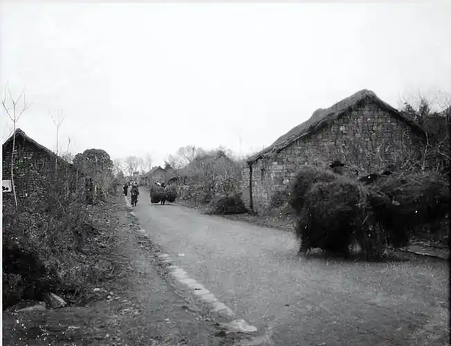 原创1990年林青霞与河南农村亲姐相认对方一贫如洗为何林不帮衬