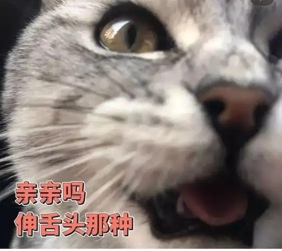 给男朋友发很污的表情_网易订阅