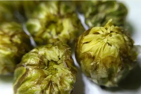 【拾货】淡淡清香,淡淡清!韵味流传的怀珍珠菊