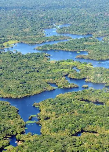 原创巴西亚马孙河热带雨林大火对世界气候有影响吗